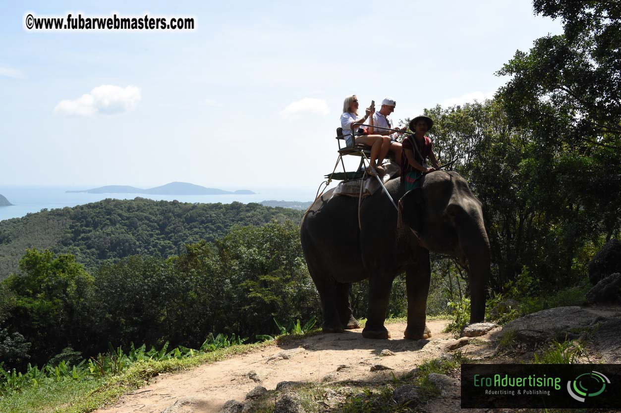 Elephant Safari 