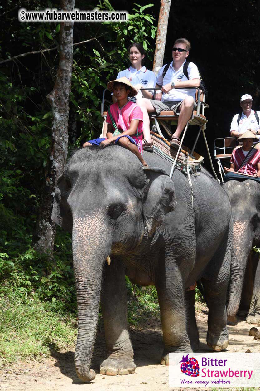 Elephant Safari 