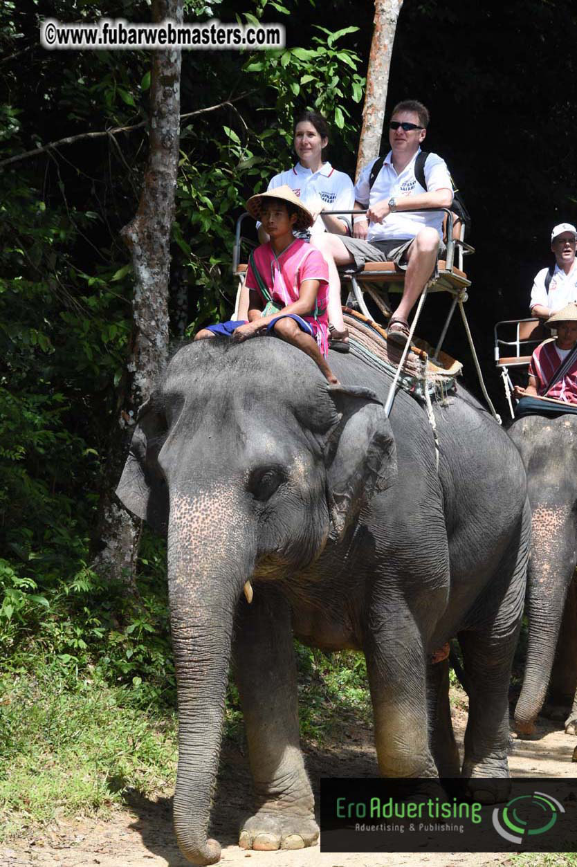 Elephant Safari 