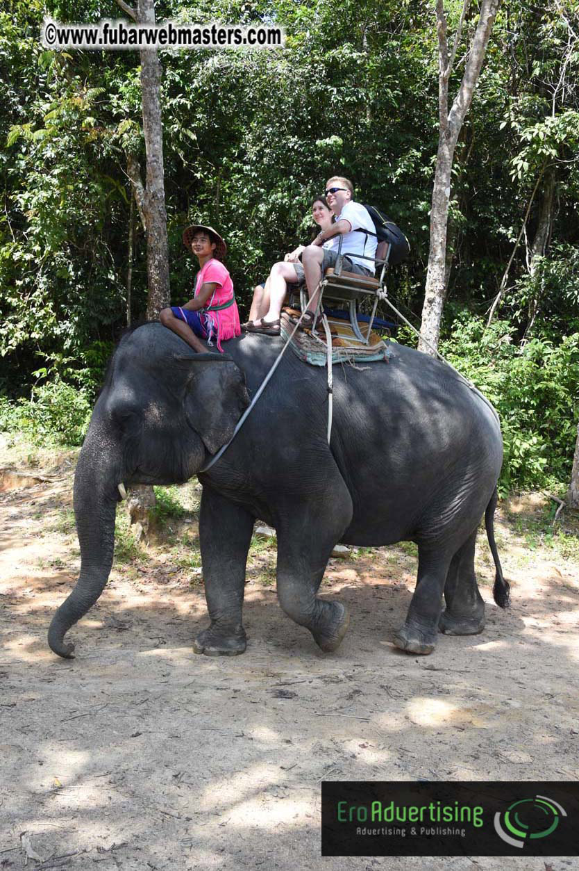 Elephant Safari 