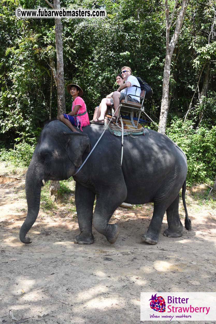 Elephant Safari 