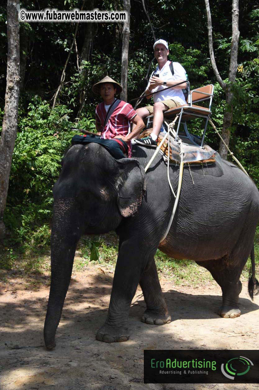 Elephant Safari 