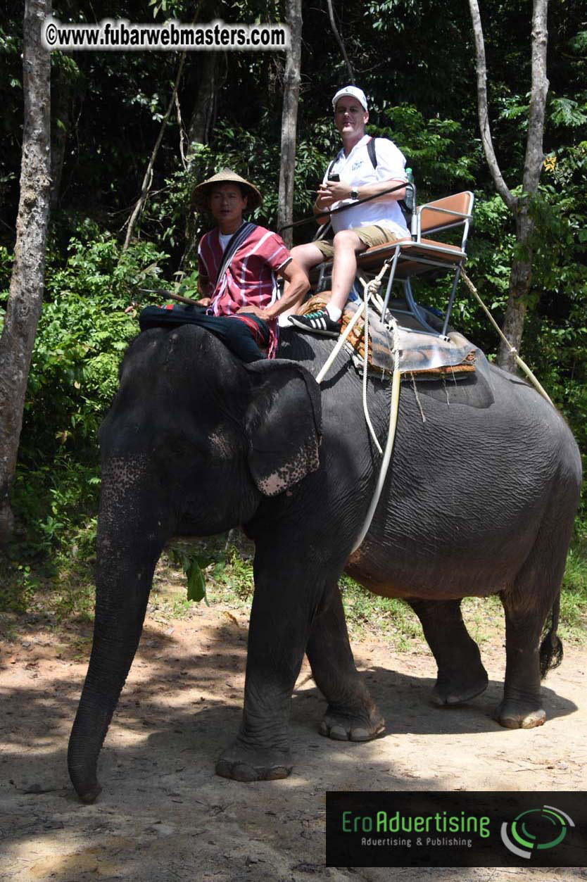 Elephant Safari 