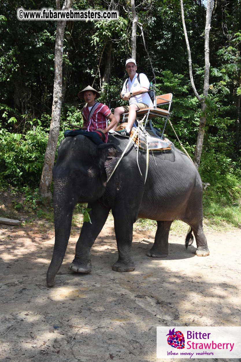 Elephant Safari 