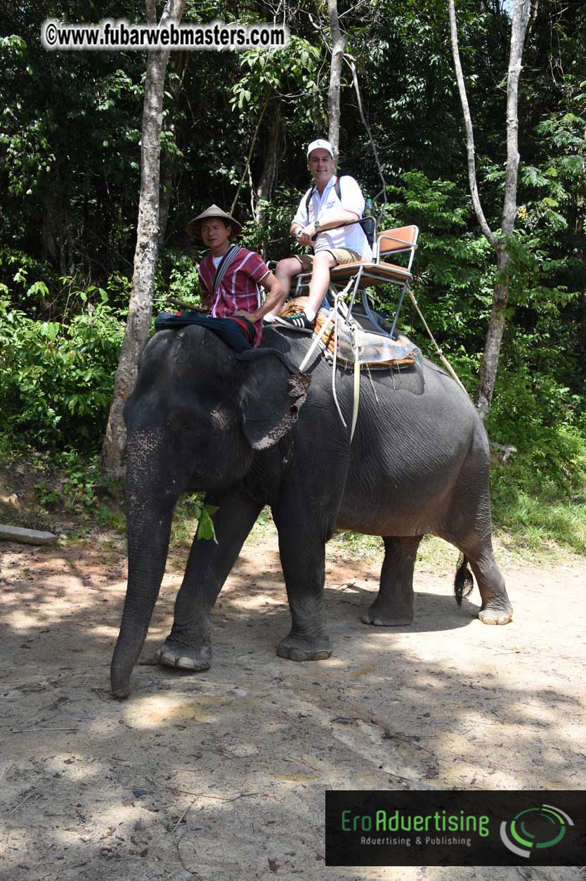 Elephant Safari 