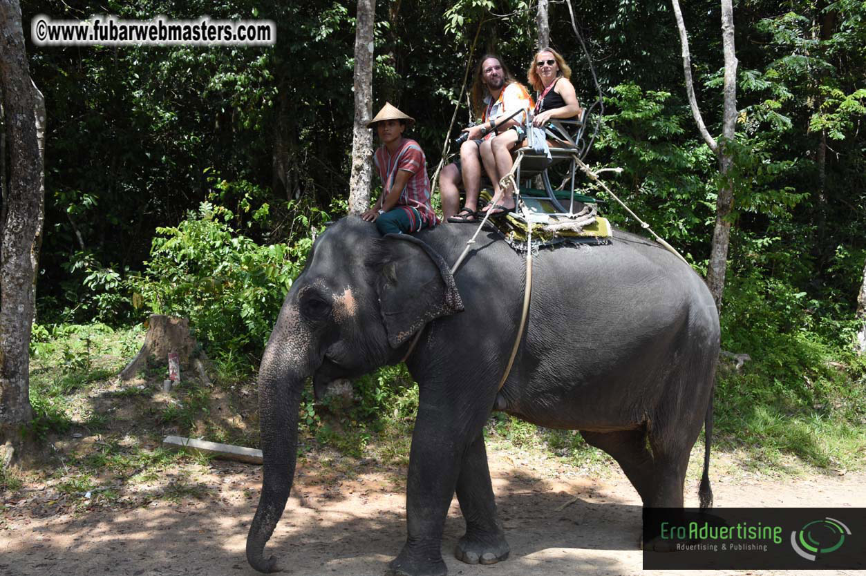 Elephant Safari 