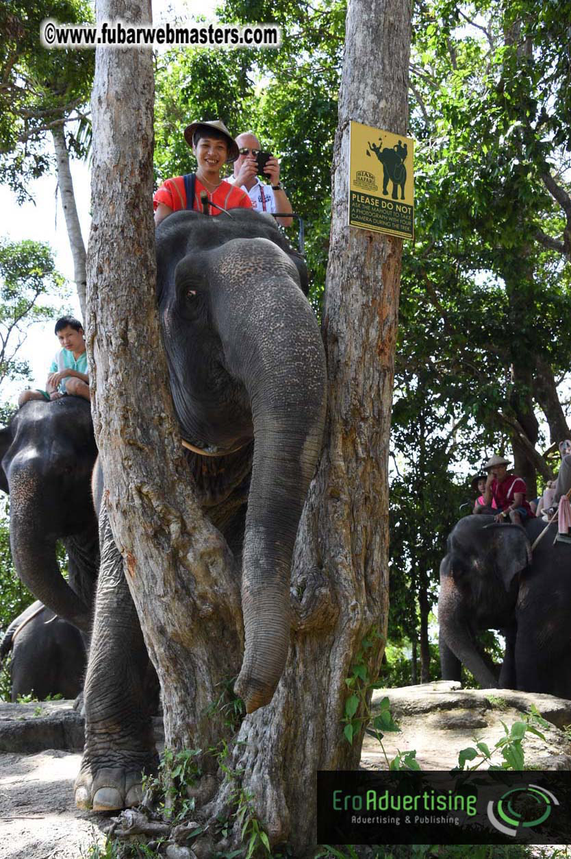 Elephant Safari 