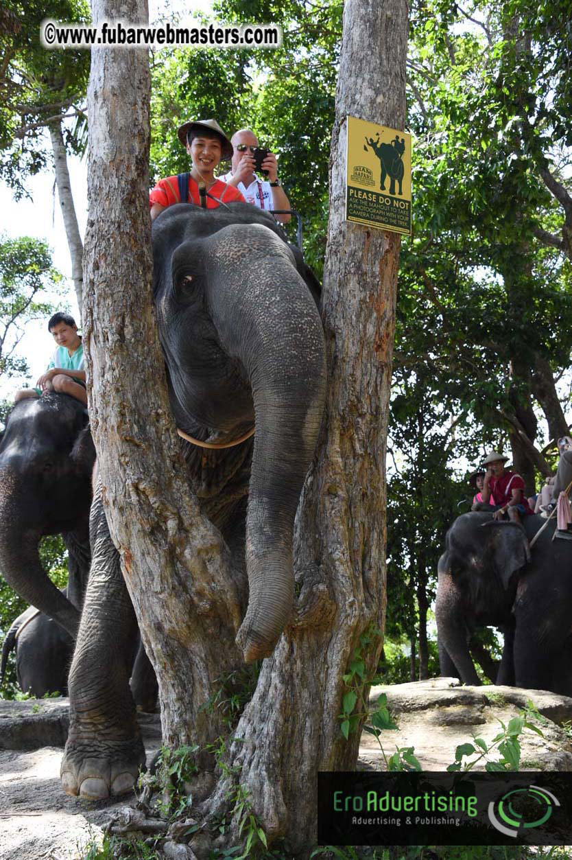 Elephant Safari 