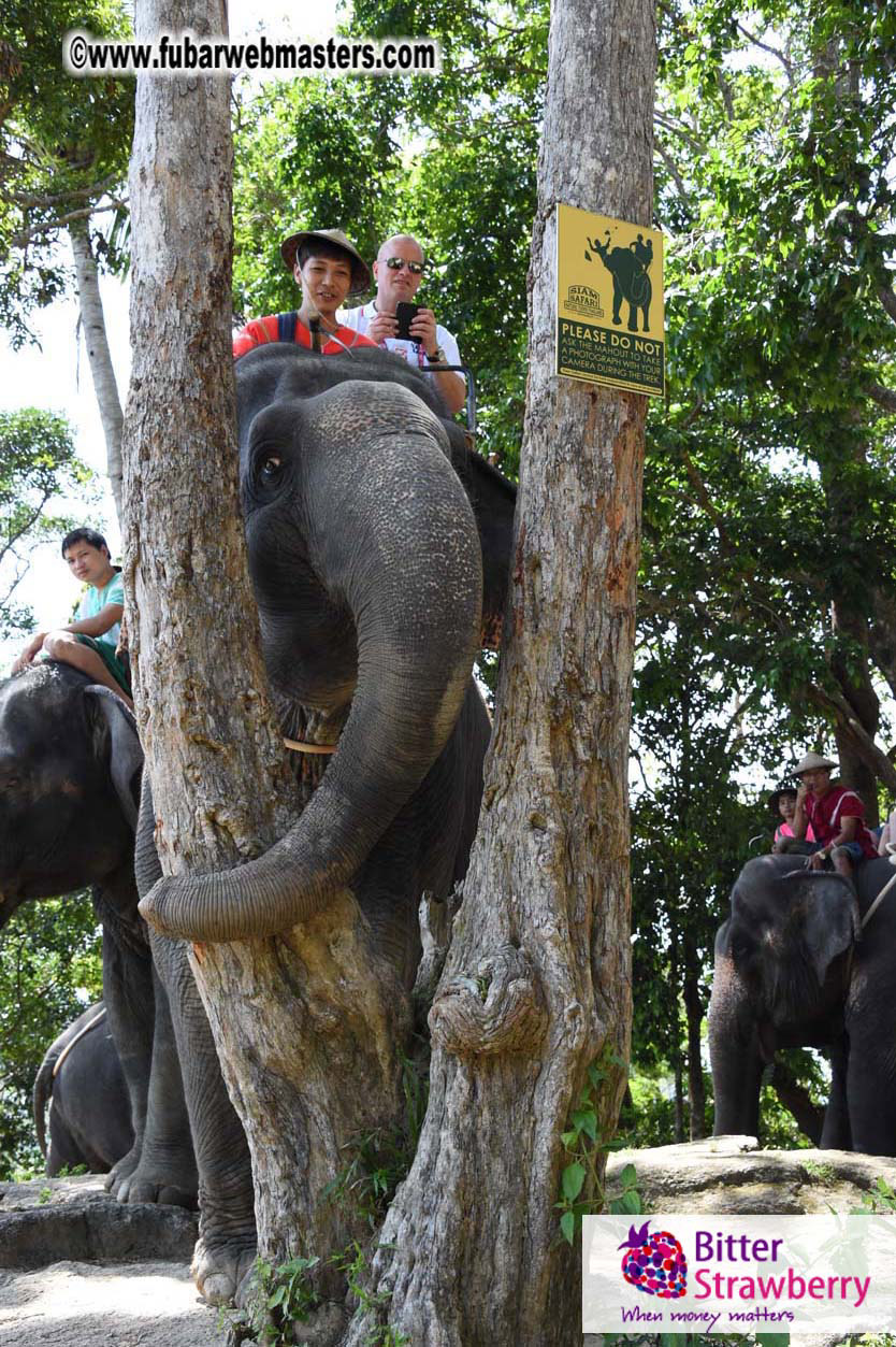 Elephant Safari 