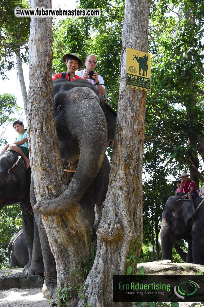 Elephant Safari 