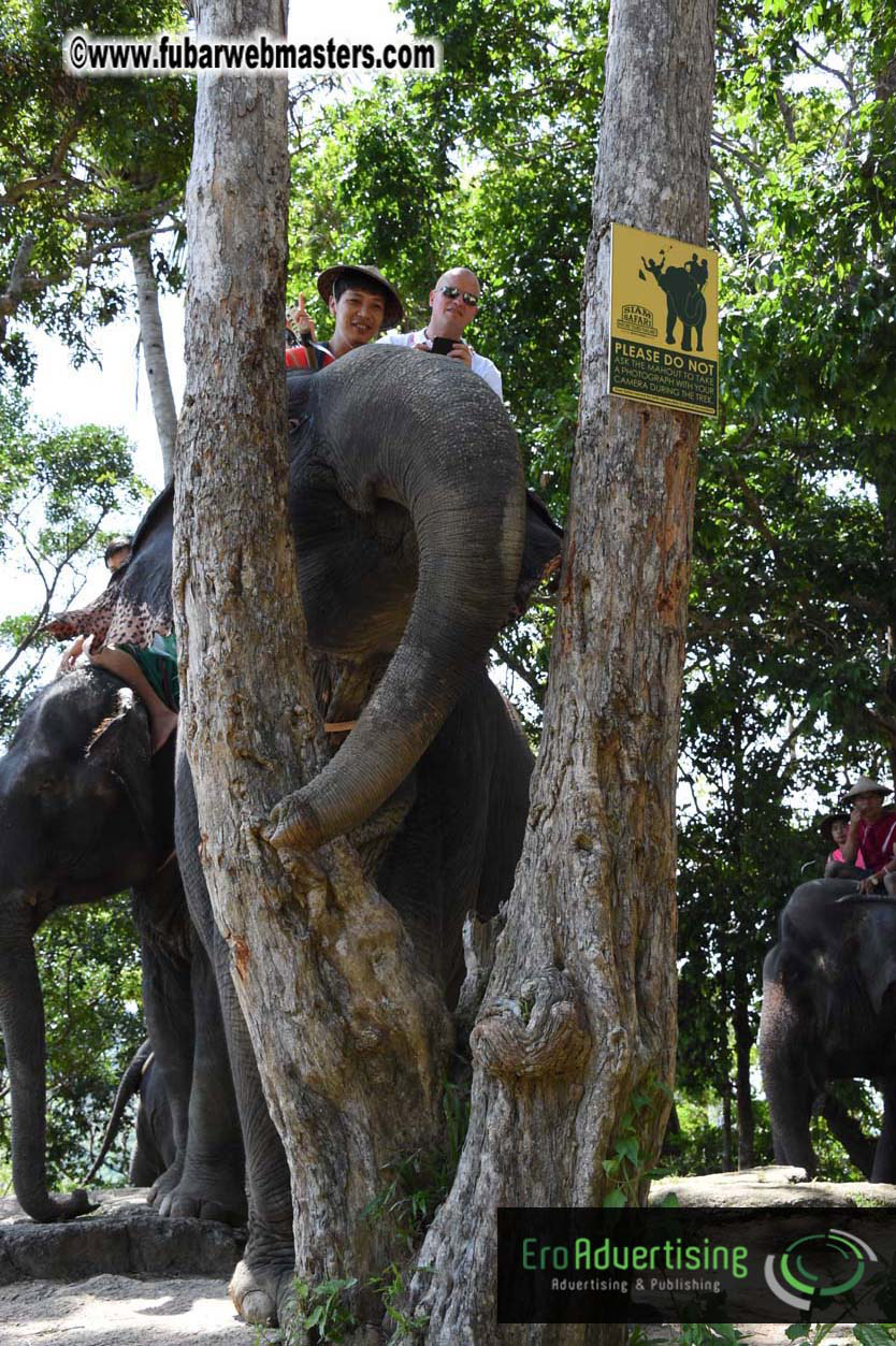 Elephant Safari 