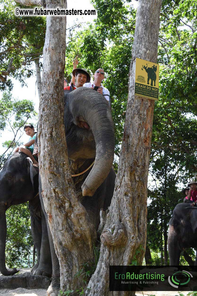 Elephant Safari 