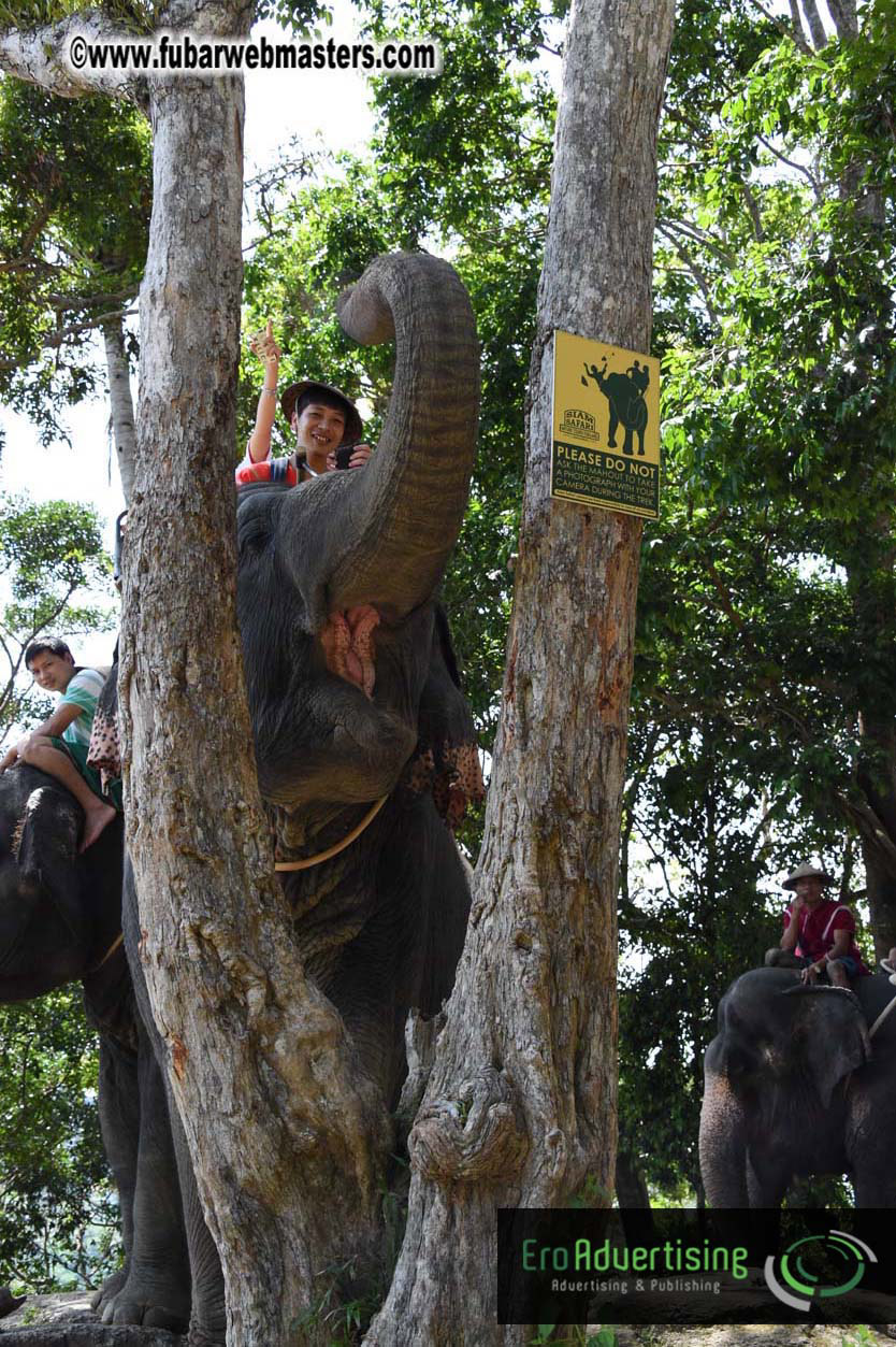 Elephant Safari 