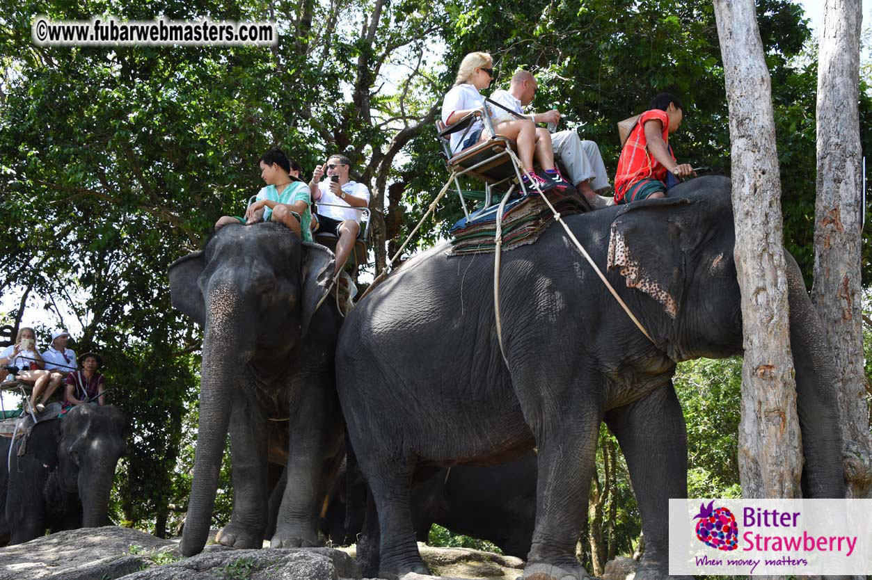 Elephant Safari 