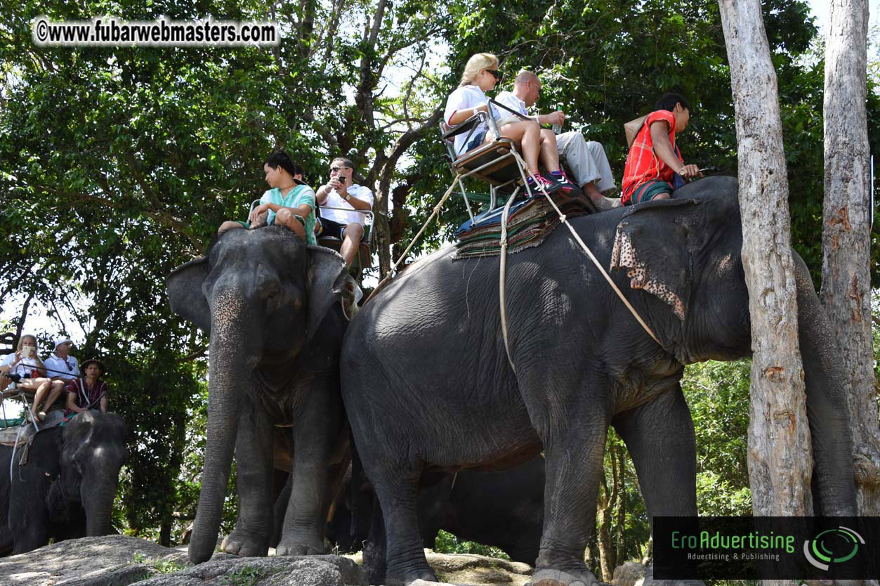 Elephant Safari 