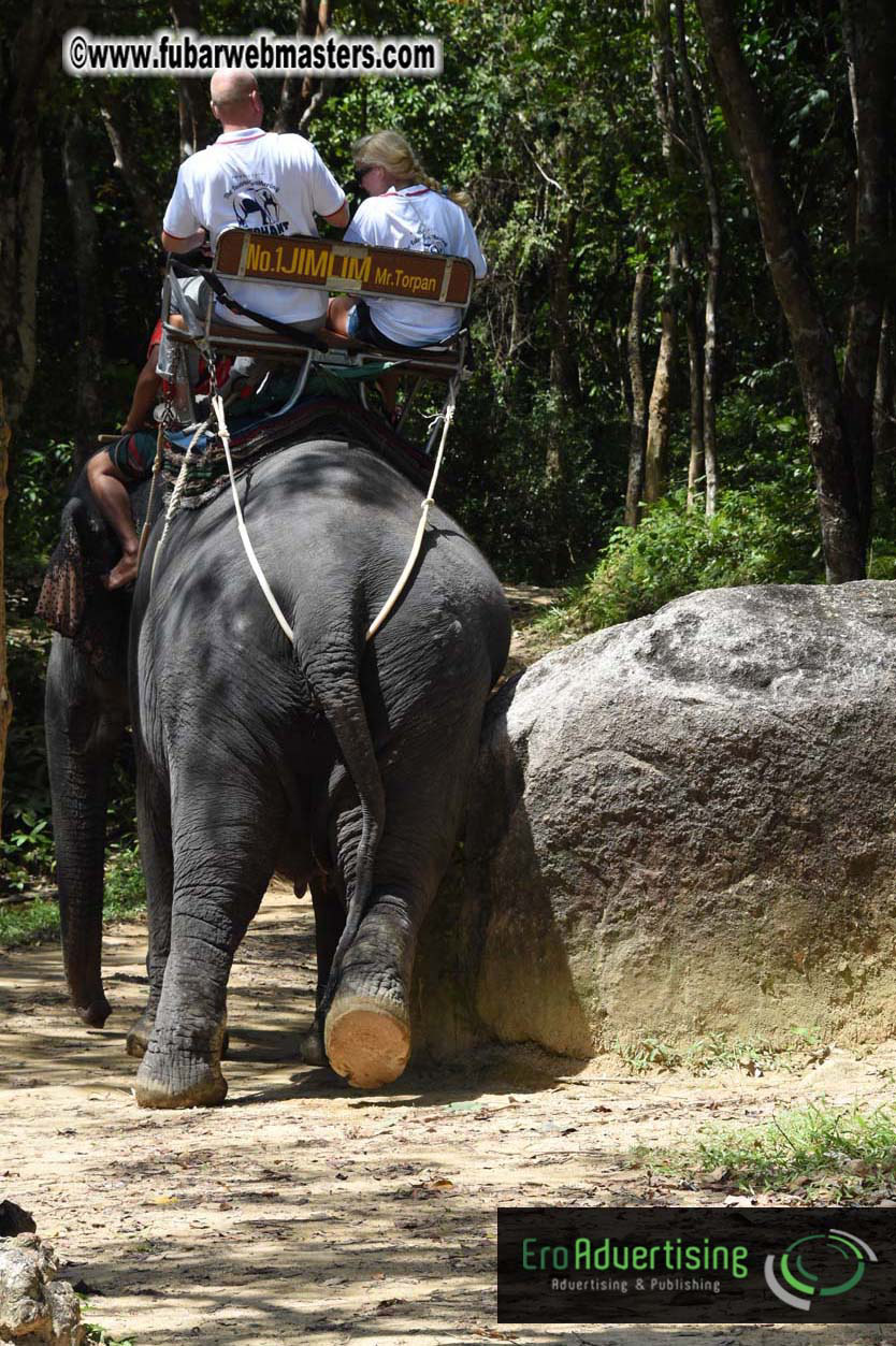 Elephant Safari 