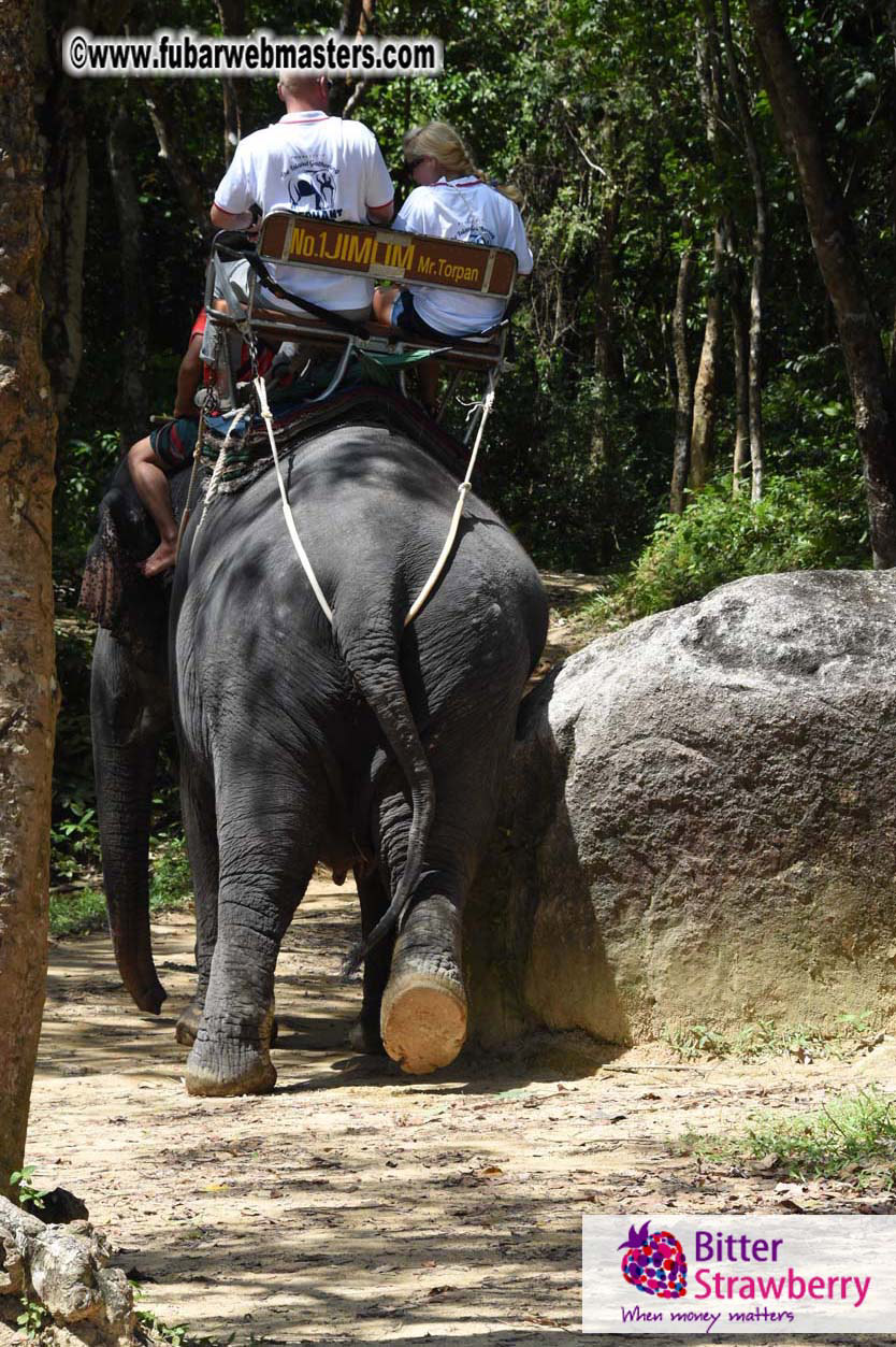 Elephant Safari 