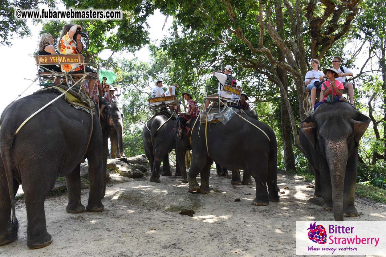 Elephant Safari 