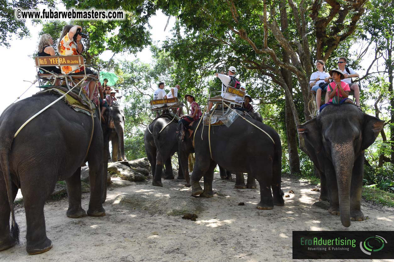 Elephant Safari 