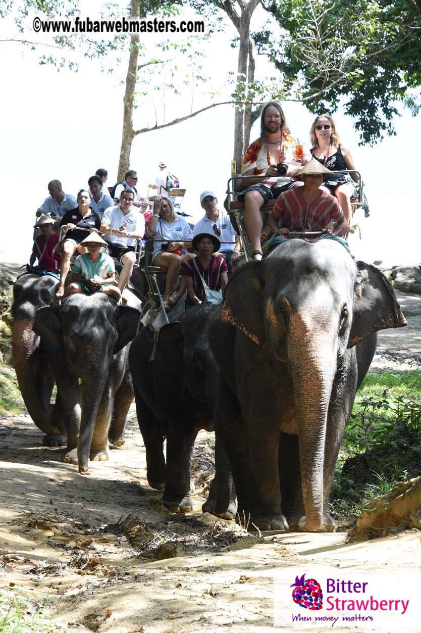 Elephant Safari 