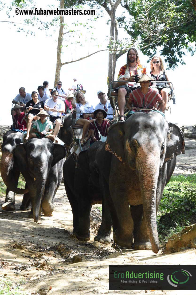 Elephant Safari 