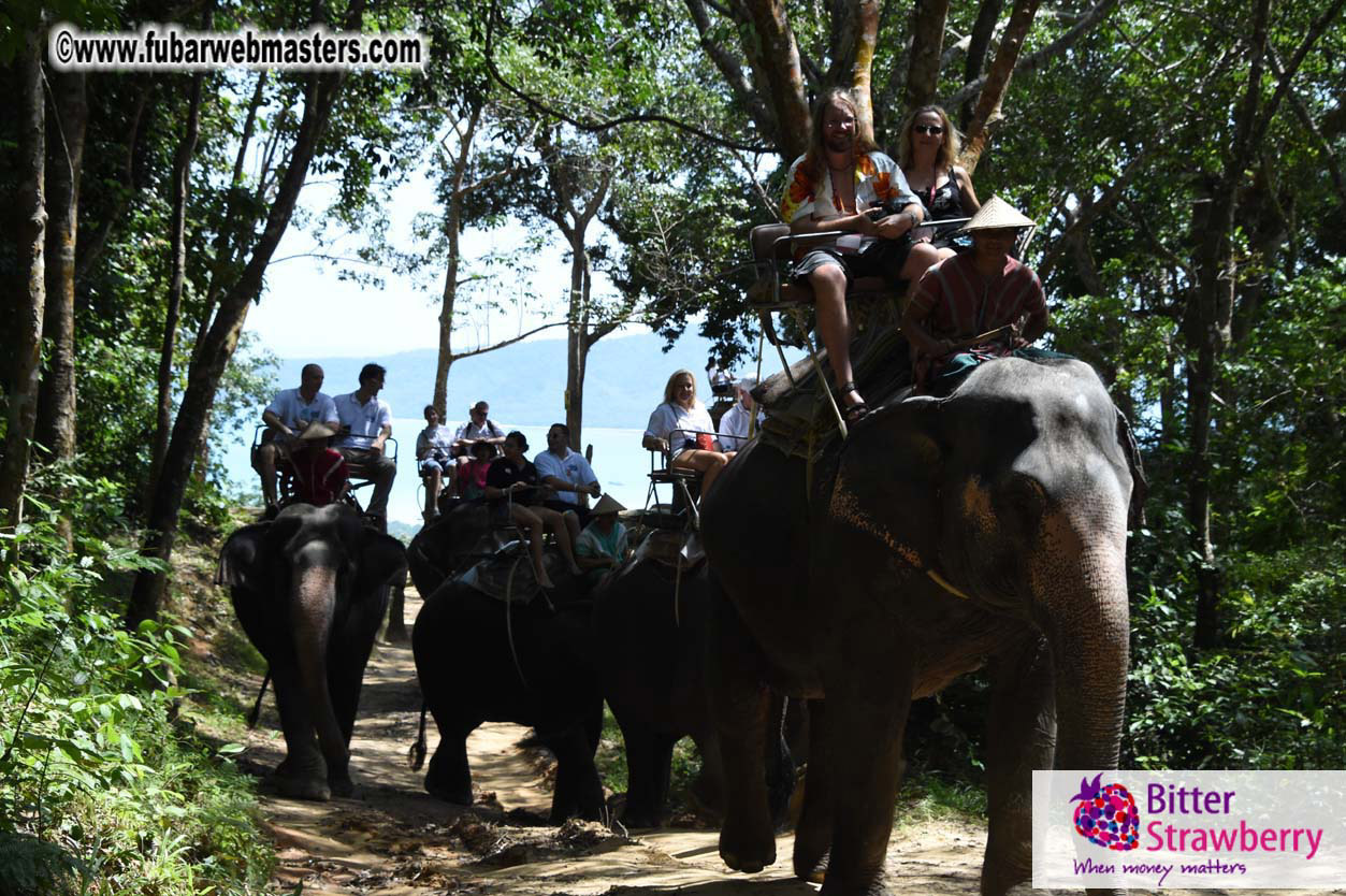 Elephant Safari 