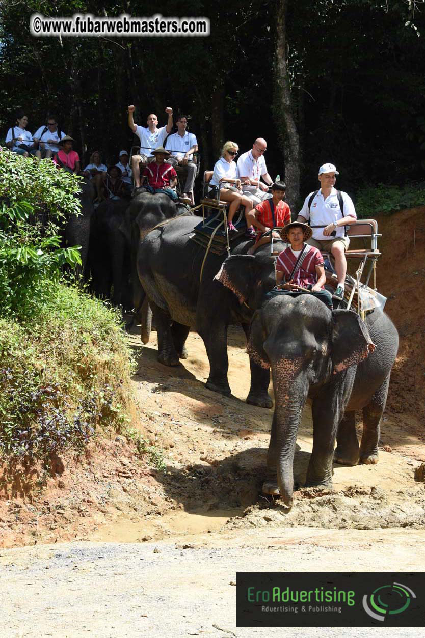 Elephant Safari 