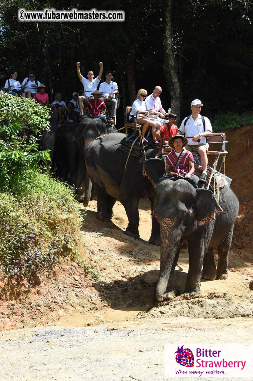 Elephant Safari 