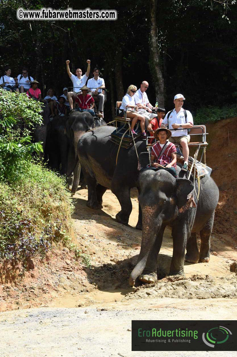 Elephant Safari 