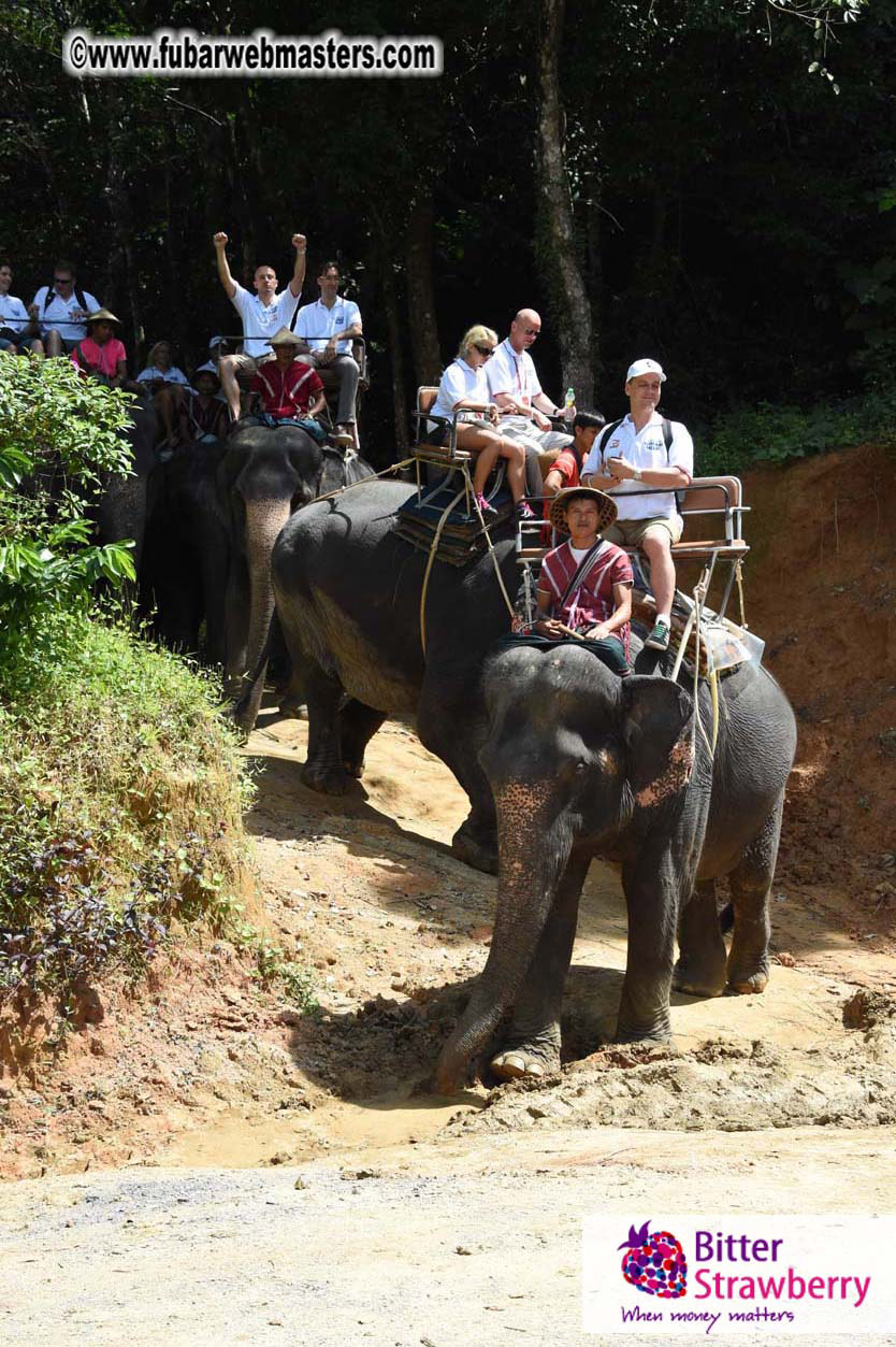 Elephant Safari 