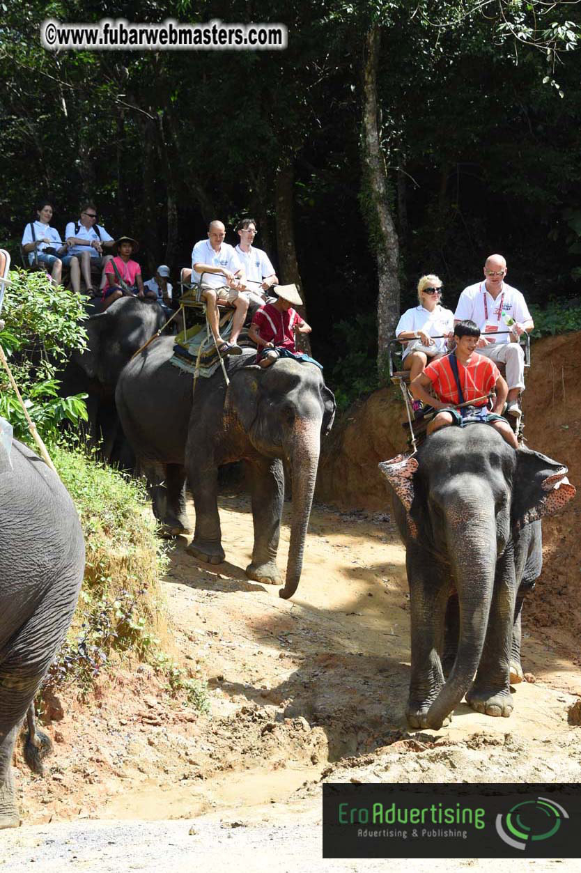 Elephant Safari 