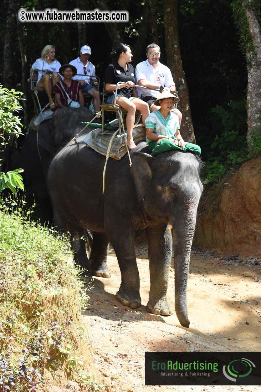 Elephant Safari 