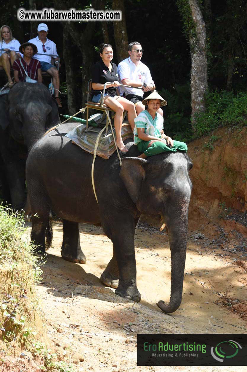 Elephant Safari 