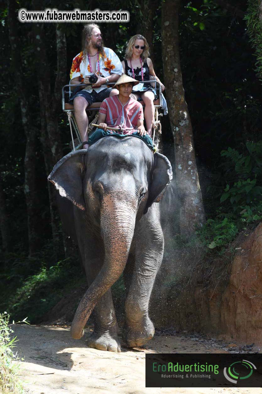 Elephant Safari 