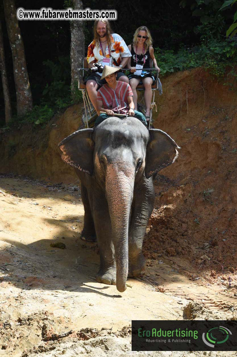 Elephant Safari 