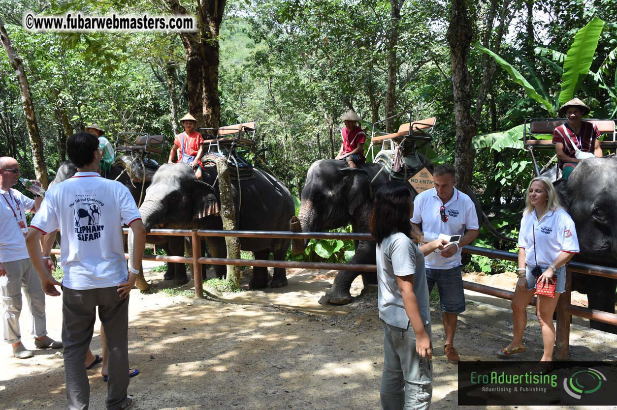 Elephant Safari 