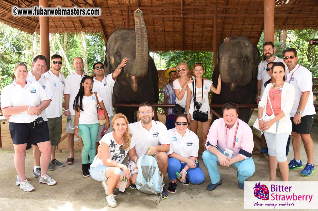 Elephant Safari 