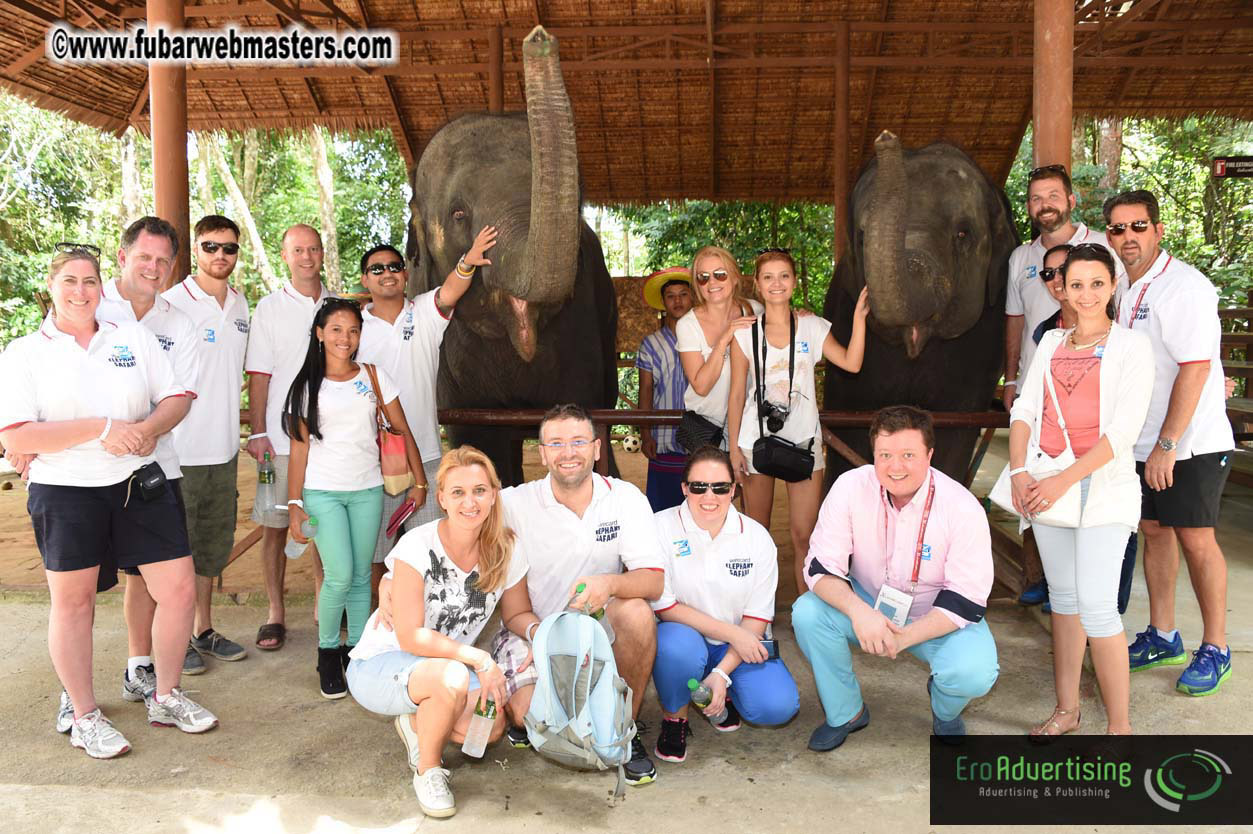 Elephant Safari 