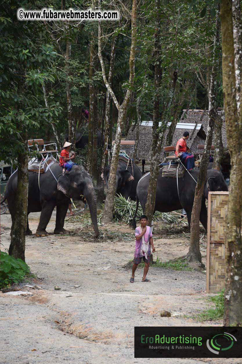 Elephant Safari 