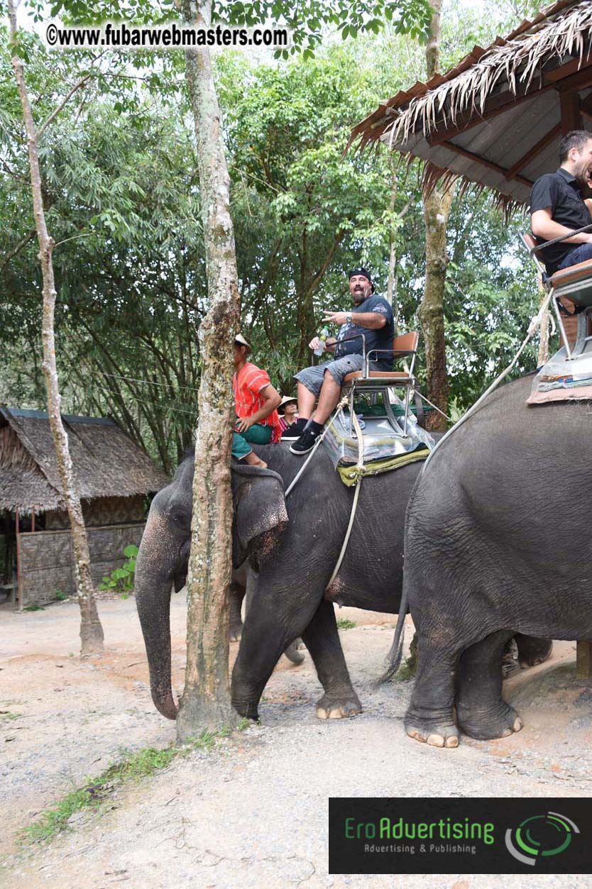 Elephant Safari 