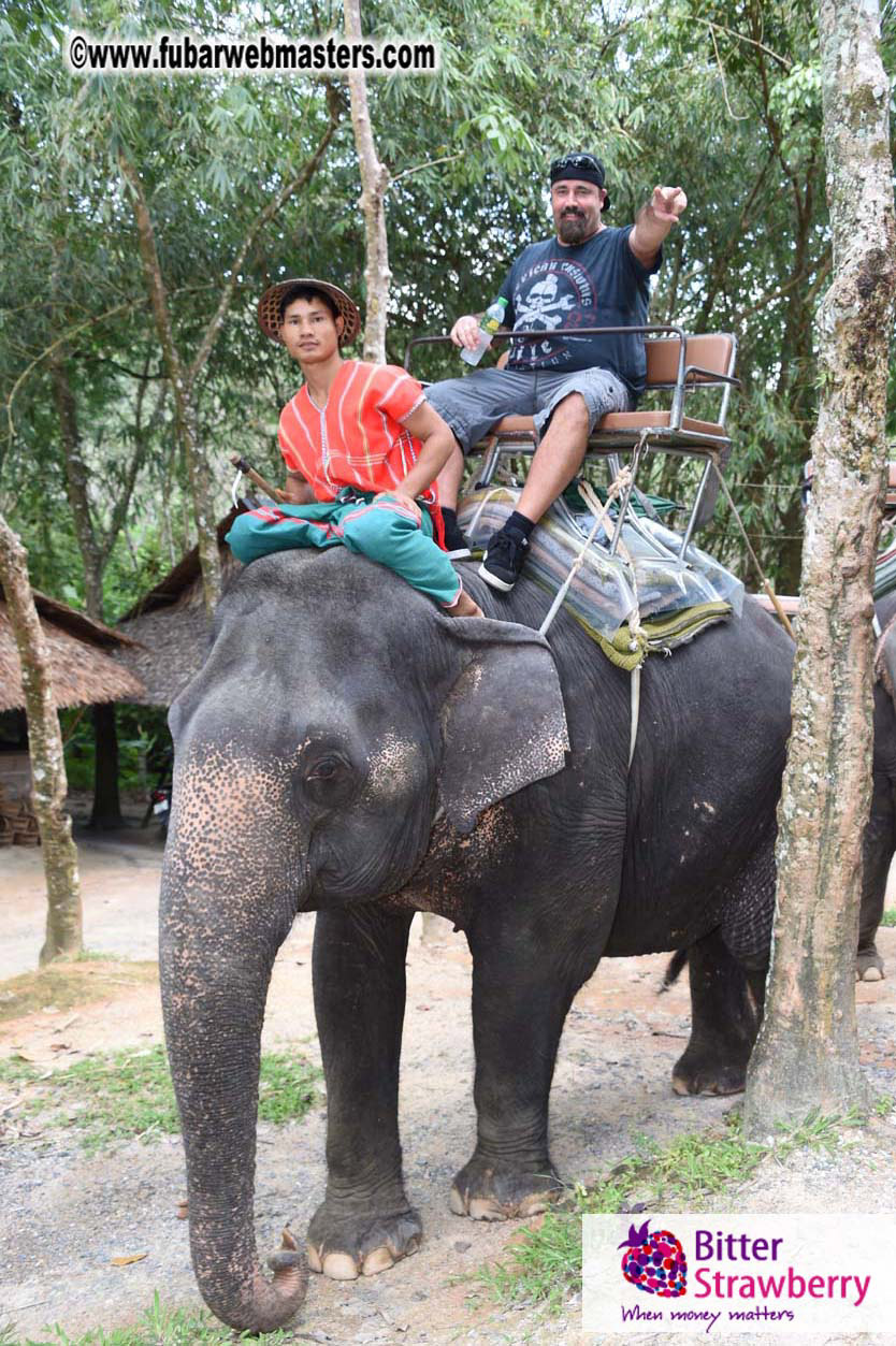 Elephant Safari 