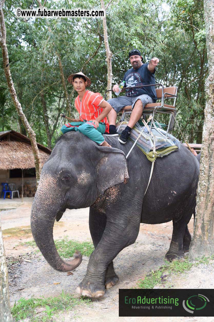 Elephant Safari 