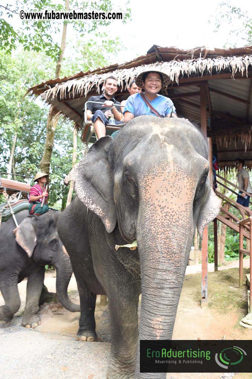 Elephant Safari 