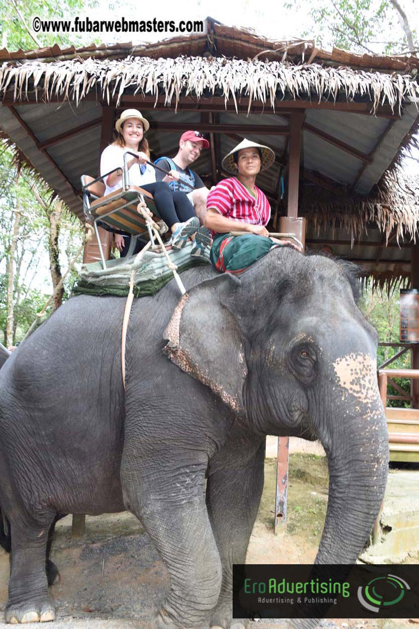 Elephant Safari 