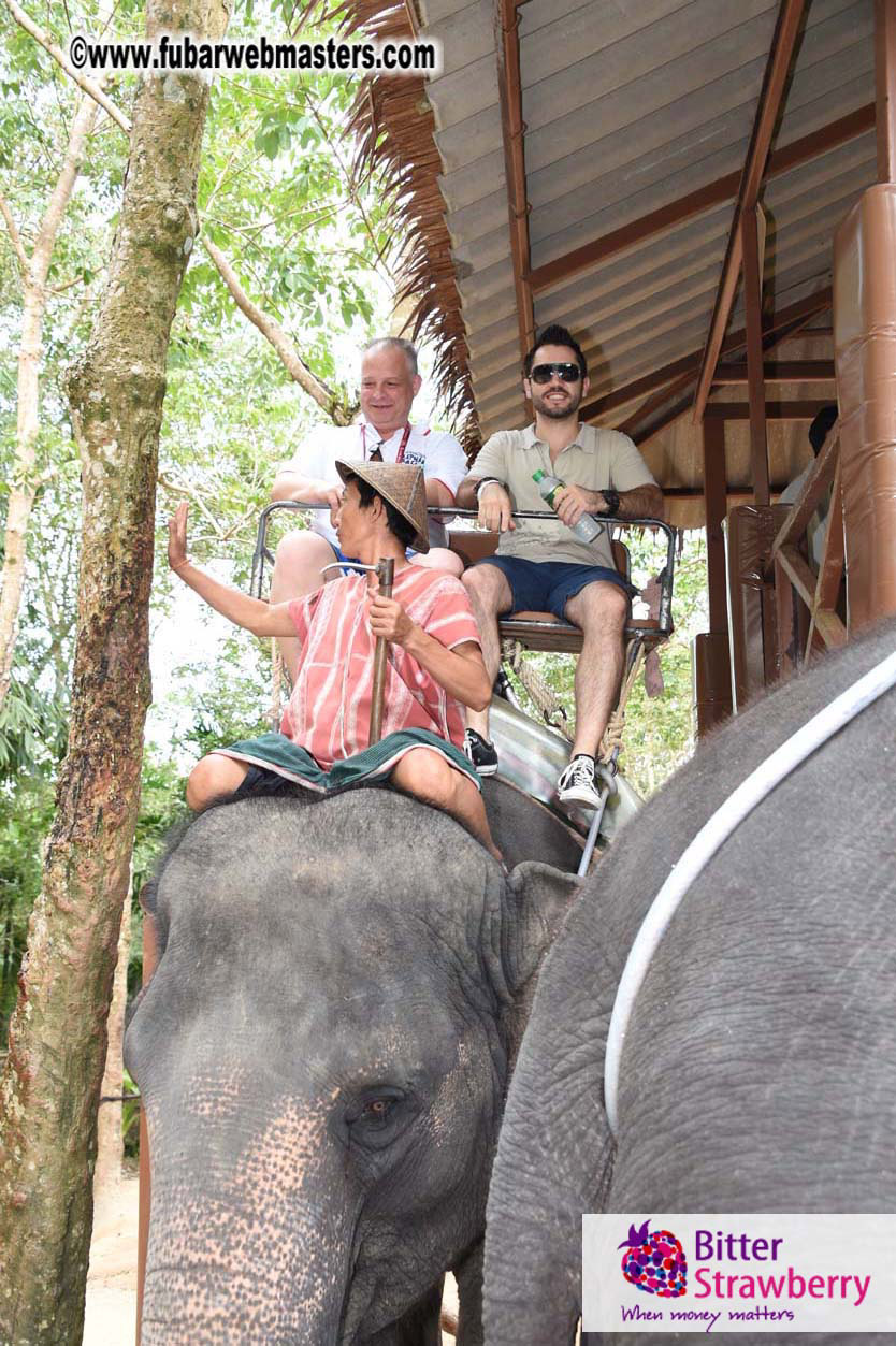 Elephant Safari 