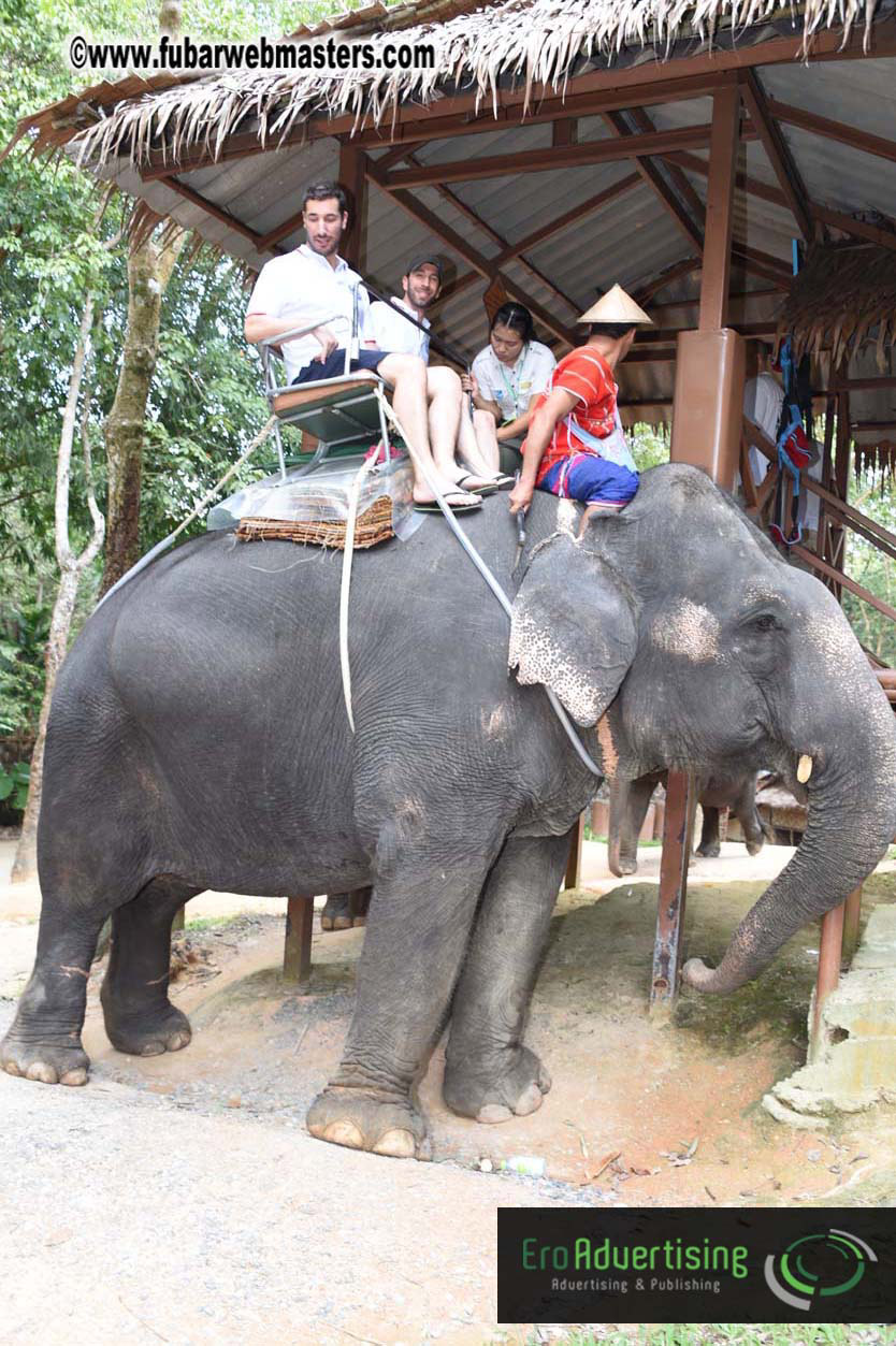 Elephant Safari 