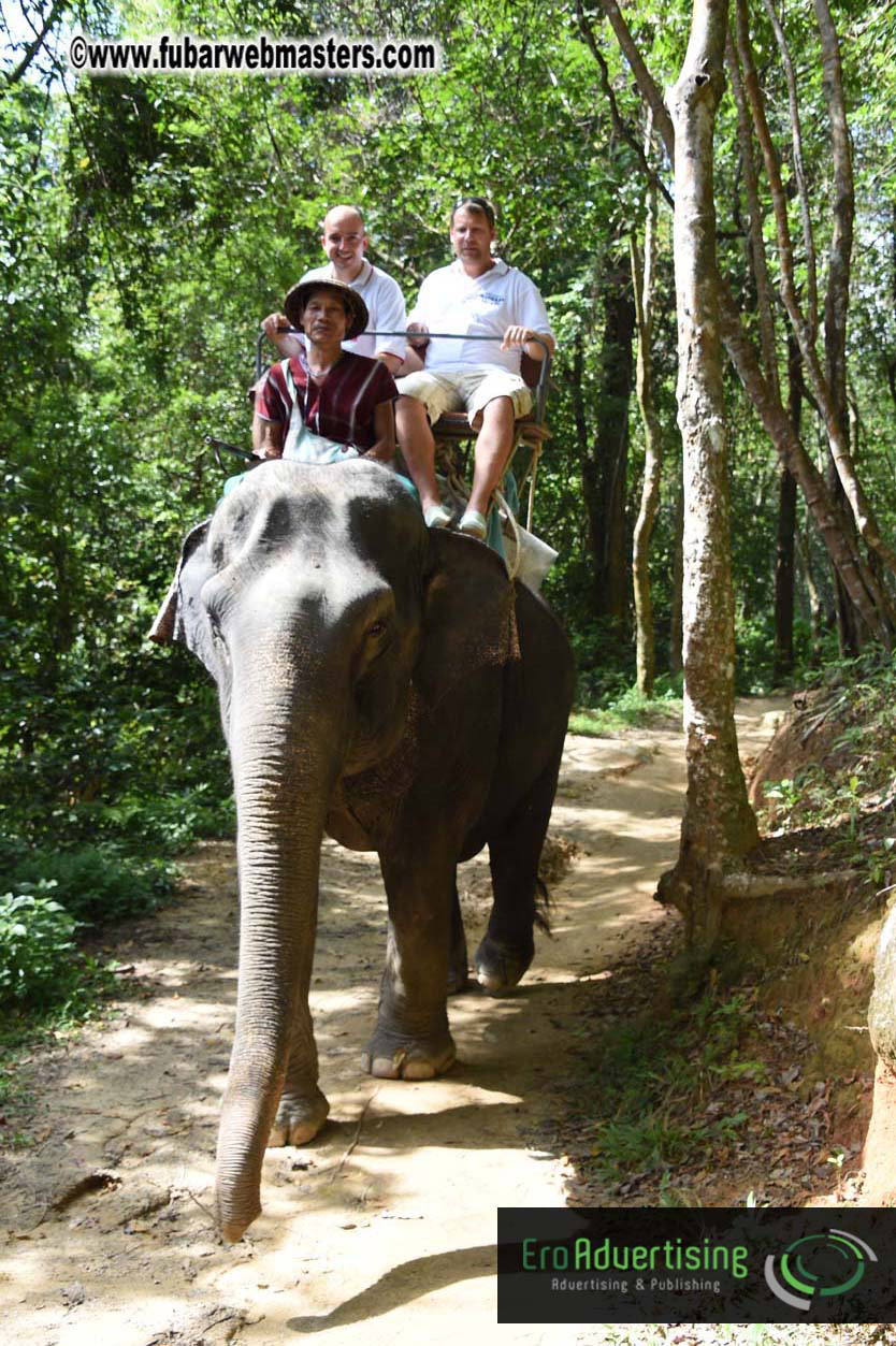 Elephant Safari 