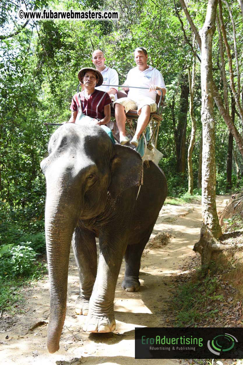 Elephant Safari 