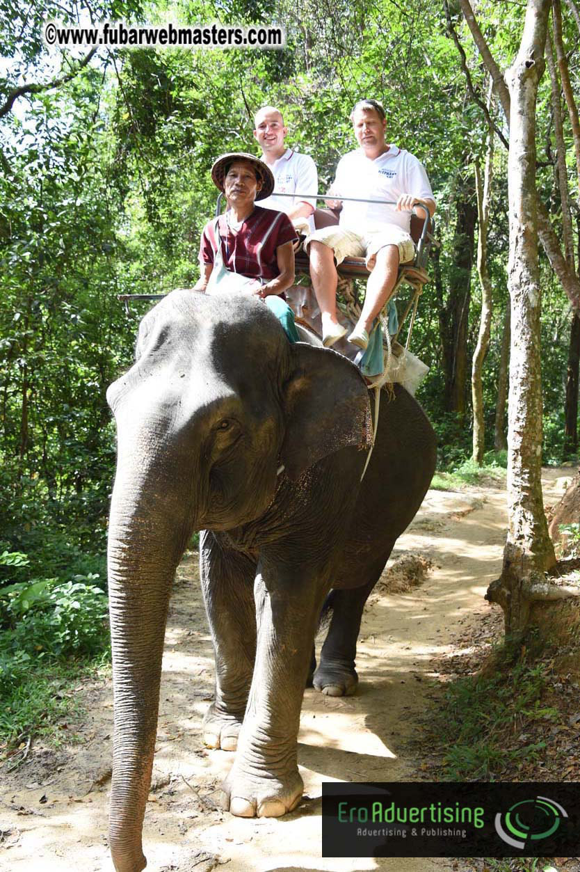 Elephant Safari 