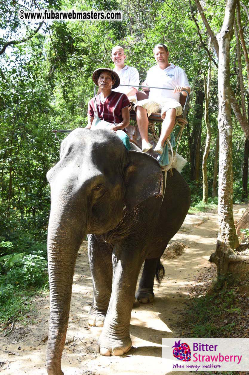 Elephant Safari 